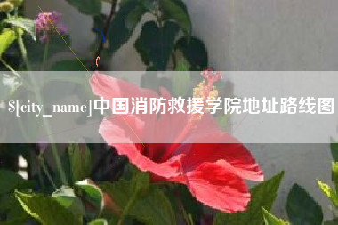 瑞安中国消防救援学院地址路线图