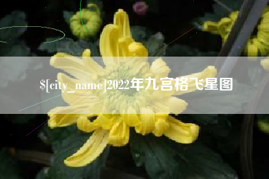 瑞安2022年九宫格飞星图