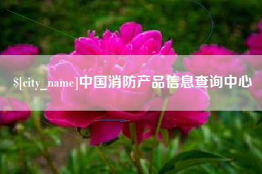 瑞安中国消防产品信息查询中心