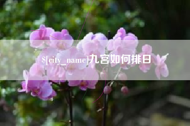 瑞安九宫如何排日