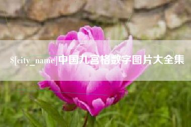 瑞安中国九宫格数字图片大全集