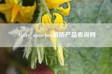 瑞安ccc消防产品查询网