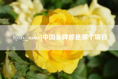 瑞安中国金牌都是哪个项目