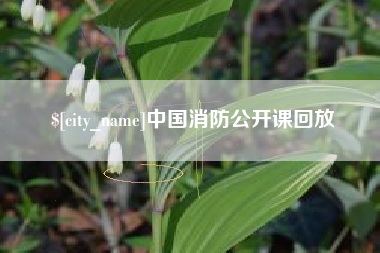 瑞安中国消防公开课回放