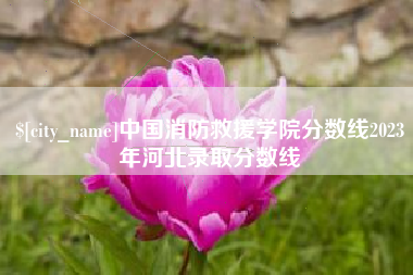 瑞安中国消防救援学院分数线2023年河北录取分数线
