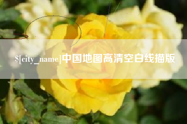 瑞安中国地图高清空白线描版