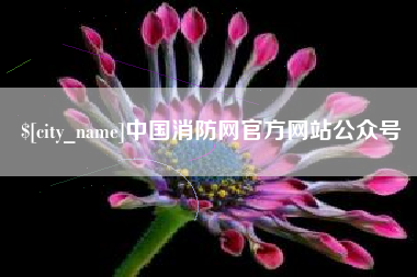 瑞安中国消防网官方网站公众号