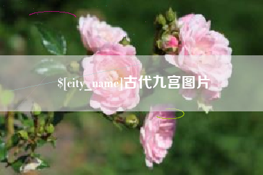 瑞安古代九宫图片