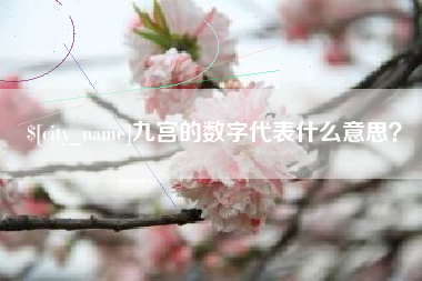 瑞安九宫的数字代表什么意思？