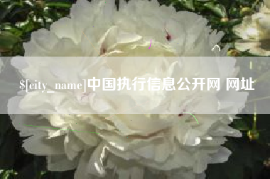瑞安中国执行信息公开网 网址