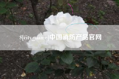 瑞安中国消防产品官网