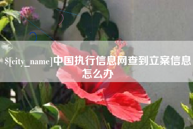 瑞安中国执行信息网查到立案信息怎么办