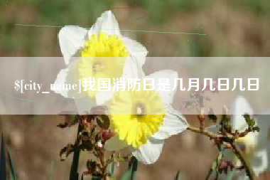 瑞安我国消防日是几月几日几日