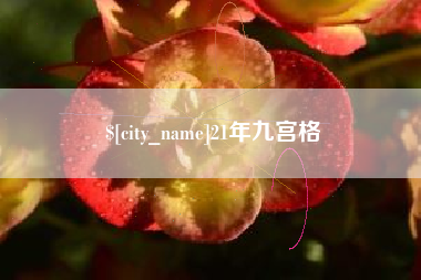 瑞安21年九宫格