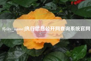 瑞安执行信息公开网查询系统官网