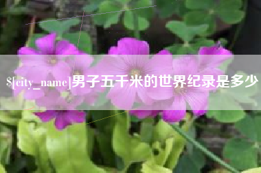 瑞安男子五千米的世界纪录是多少