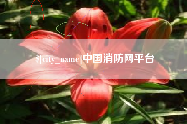 瑞安中国消防网平台
