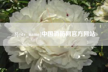 瑞安中国消防网官方网站