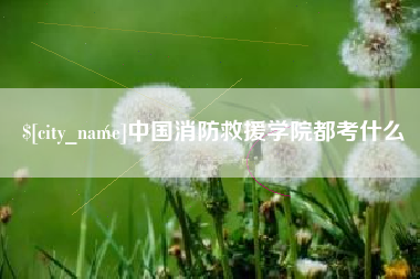 瑞安中国消防救援学院都考什么
