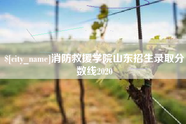 瑞安消防救援学院山东招生录取分数线2020