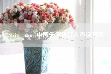 瑞安中国失信执行人查询官网