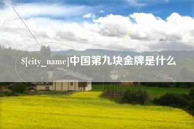瑞安中国第九块金牌是什么