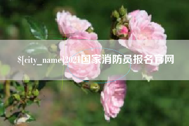 瑞安2021国家消防员报名官网