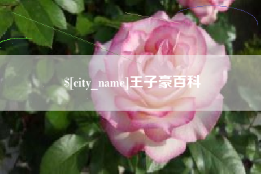 瑞安王子豪百科