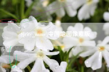 瑞安中国地图像素版
