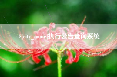 瑞安执行公告查询系统