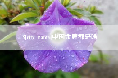 瑞安中国金牌都是啥
