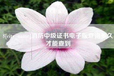 瑞安消防中级证书电子版查询多久才能查到