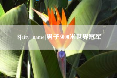 瑞安男子5000米世界冠军