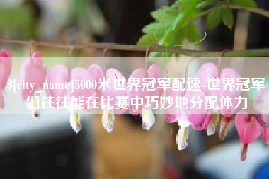 瑞安5000米世界冠军配速-世界冠军们往往能在比赛中巧妙地分配体力