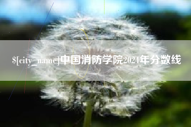 瑞安中国消防学院2024年分数线
