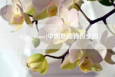 瑞安中国地图省份全图