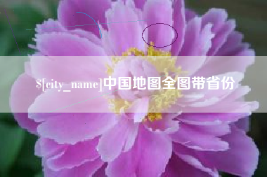 瑞安中国地图全图带省份