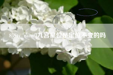 瑞安九宫星位是定位不变的吗