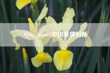 瑞安中国金牌包括