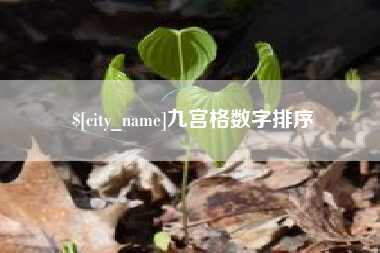 瑞安九宫格数字排序