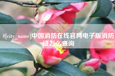 瑞安中国消防在线官网电子版消防证怎么查询