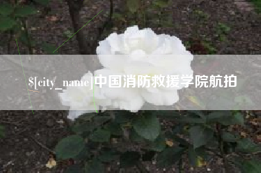 瑞安中国消防救援学院航拍