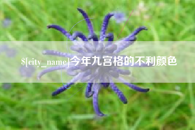瑞安今年九宫格的不利颜色
