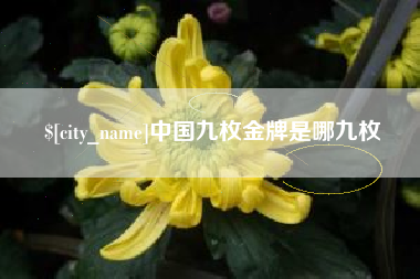 瑞安中国九枚金牌是哪九枚