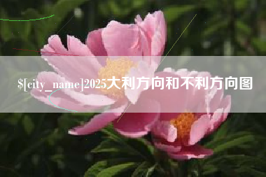 瑞安2025大利方向和不利方向图