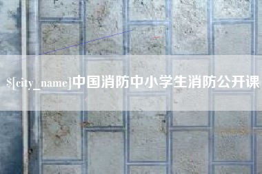 瑞安中国消防中小学生消防公开课