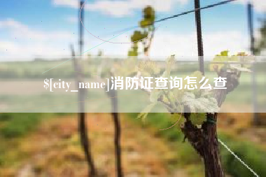 瑞安消防证查询怎么查