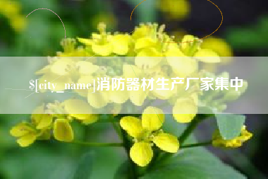 瑞安消防器材生产厂家集中
