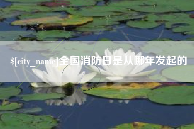 瑞安全国消防日是从哪年发起的