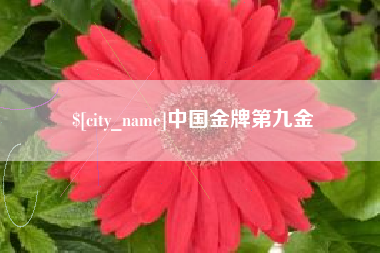 瑞安中国金牌第九金